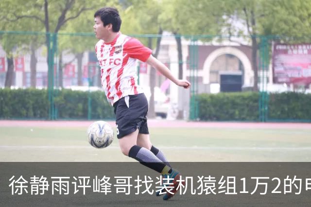 徐静雨评峰哥找装机猿组1万2的电脑：打游戏不够用！